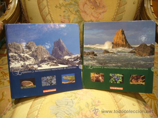 Libros de segunda mano: &rdquo;ESPACIOS Y MONUMENTOS NATURALES DE ASTURIAS&rdquo;. DOS TOMOS. COMPLETO. - Foto 1