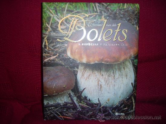 Libros de segunda mano: EL FASCINANT M&Oacute;N DELS BOLETS 3: ESP&Egrave;CIES I FAM&Iacute;LIES (II)