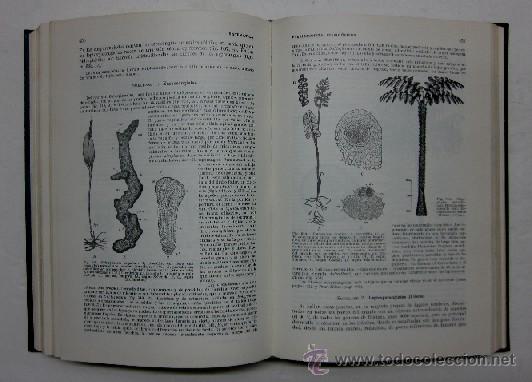 Libros de segunda mano: TRATADO DE BOTANICA - Foto 3