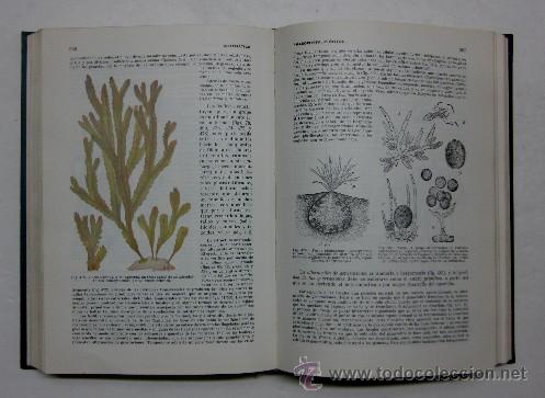 Libros de segunda mano: TRATADO DE BOTANICA - Foto 4