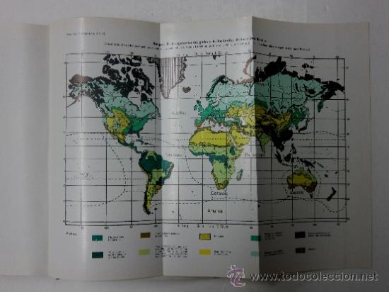 Libros de segunda mano: TRATADO DE BOTANICA - Foto 5
