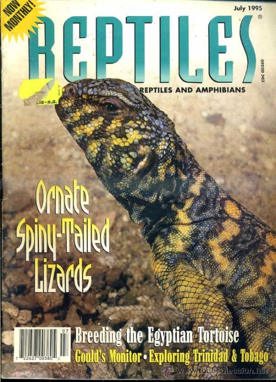 Libri di seconda mano: REPTILES JULY '95 - ORNATE SPINY-TAILED LIZARDS