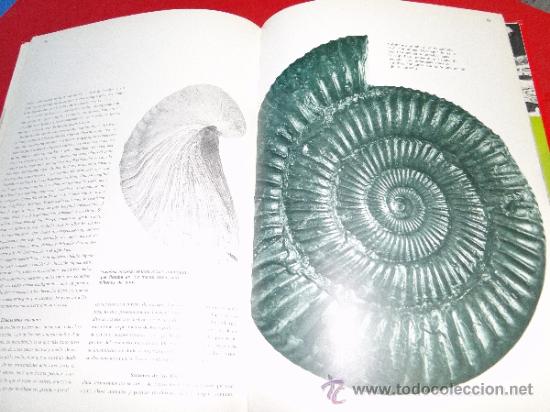 Libros de segunda mano: A TRAVES DE LA CORTEZA TERRESTRE.--ENERGLYN, Lord.- - Foto 3