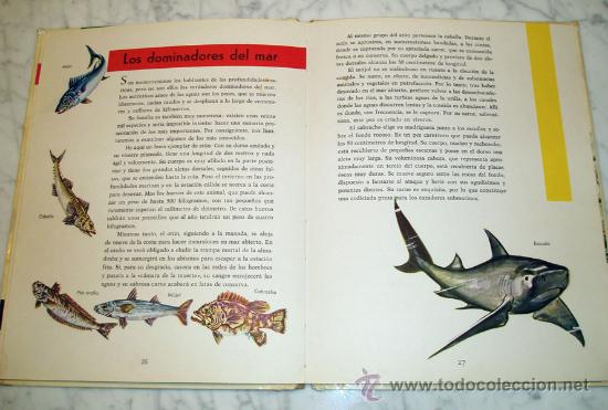 Libros de segunda mano: EL MUNDO DEL MAR - GIUSEPPE ZANINI - ED. MOLINO - 1965 - Foto 4
