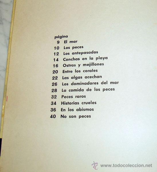 Libros de segunda mano: EL MUNDO DEL MAR - GIUSEPPE ZANINI - ED. MOLINO - 1965 - Foto 6