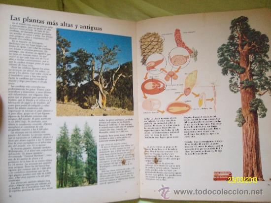Libros de segunda mano: EL MUNDO DE LA CIENCIA EDICIONES NAUTA 1980 - Foto 3
