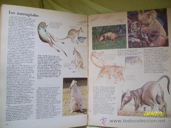 Libros de segunda mano: EL MUNDO DE LA CIENCIA EDICIONES NAUTA 1980 - Foto 4