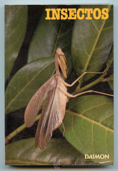 Libros de segunda mano: INSECTOS Y AR&Agrave;CNIDOS - DR. MAURICE BURTON - ED. DAIMON - 1973 - Foto 1