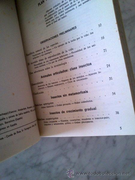 Libros de segunda mano: INSECTOS Y AR&Agrave;CNIDOS - DR. MAURICE BURTON - ED. DAIMON - 1973 - Foto 2
