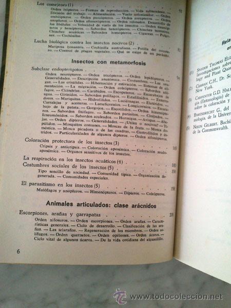 Libros de segunda mano: INSECTOS Y AR&Agrave;CNIDOS - DR. MAURICE BURTON - ED. DAIMON - 1973 - Foto 3