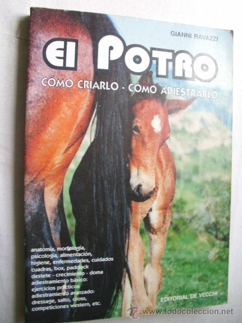 Libros de segunda mano: EL POTRO. RAVAZZI, Gianni. 1994 - Foto 1