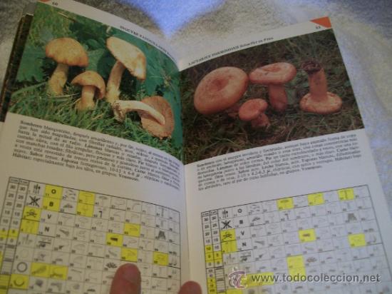 Libros de segunda mano: Guia pr&aacute;ctica setas, Umberto Nonis. Ed. Daimon. ( Botanica - Foto 2