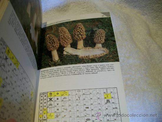 Libros de segunda mano: Guia pr&aacute;ctica setas, Umberto Nonis. Ed. Daimon. ( Botanica - Foto 3