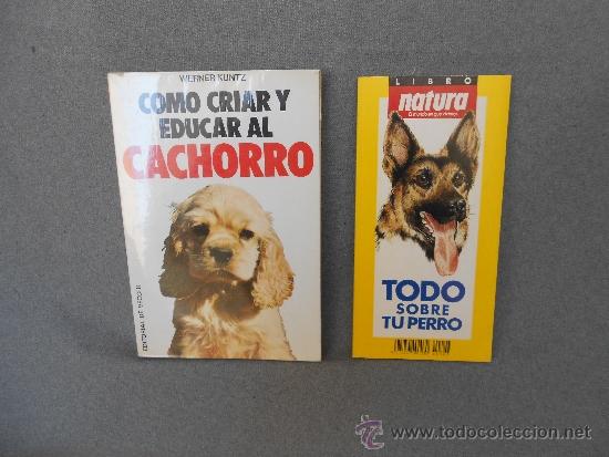 Libros de segunda mano: COMO CRIAR Y EDUCAR AL CACHORRO - Foto 1