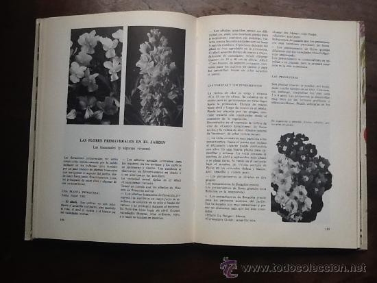 Libros de segunda mano: GUIA PR&Aacute;CTICA DE LA JARDINER&Iacute;A, AGUILAR - Foto 2