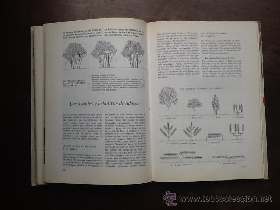 Libros de segunda mano: GUIA PR&Aacute;CTICA DE LA JARDINER&Iacute;A, AGUILAR - Foto 3