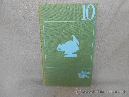 Libros de segunda mano: LOS ANFIBIOS Y LOS REPTILES - Foto 1