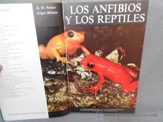 Libros de segunda mano: LOS ANFIBIOS Y LOS REPTILES - Foto 2