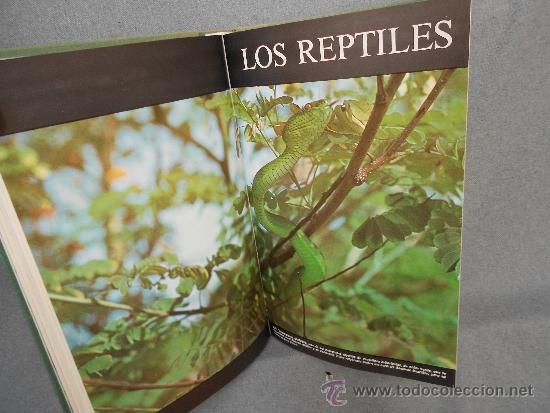 Libros de segunda mano: LOS ANFIBIOS Y LOS REPTILES - Foto 5
