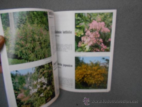 Libros de segunda mano: ARBUSTOS DE ORNAMENTO - Foto 3