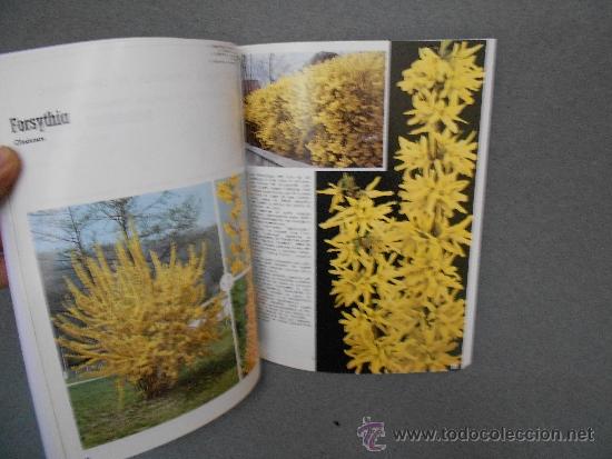 Libros de segunda mano: ARBUSTOS DE ORNAMENTO - Foto 4