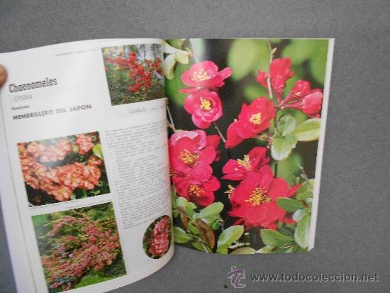 Libros de segunda mano: ARBUSTOS DE ORNAMENTO - Foto 5