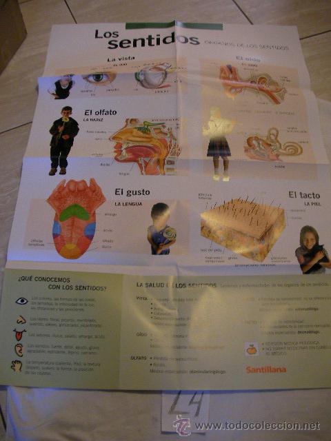 Gebrauchte B&uuml;cher: GRAN POSTER LOS SENTIDOS - ENVIO GRATIS A ESPA&Ntilde;A