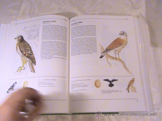 Libros de segunda mano: El gran libro de los animales. - Foto 2