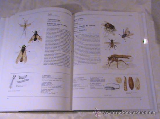 Libros de segunda mano: El gran libro de los animales. - Foto 3