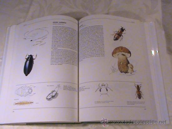 Libros de segunda mano: El gran libro de los animales. - Foto 4