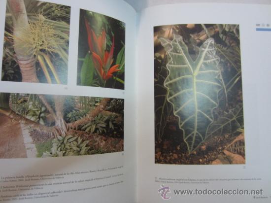 Libros de segunda mano: El Jard&iacute; bot&agrave;nic de la Universitat de Val&egrave;ncia - Foto 2