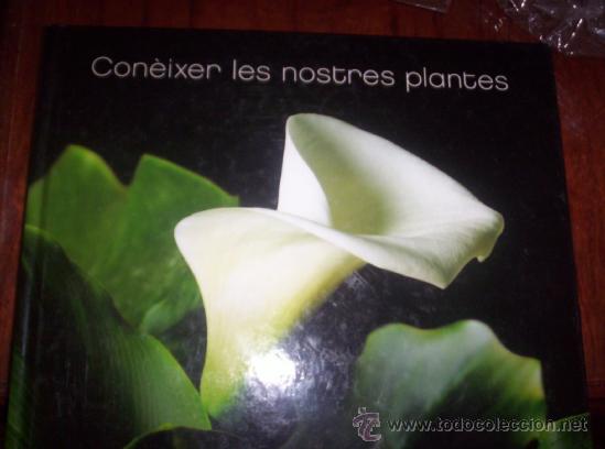 Libros de segunda mano: CONEIXER LES NOSTRES PLANTES - LA CAIXA ( EN CATALAN ) - Foto 1