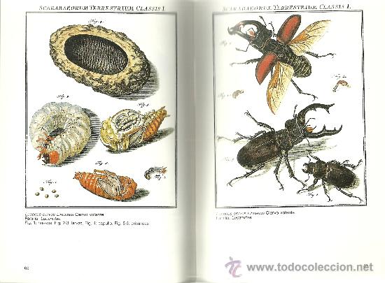 Libros de segunda mano: Los Insectos/ August J. R&ouml;sel von Rosenhof - Foto 3