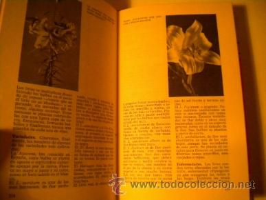 Libros de segunda mano: ABC de las plantas de Jardin y Terraza - Magda R&oacute;denas - Foto 3