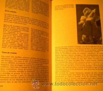 Libros de segunda mano: ABC de las plantas de Jardin y Terraza - Magda R&oacute;denas - Foto 4
