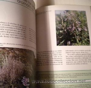 Libros de segunda mano: Flores en sus balcones y terrazas - editorial Vecchi - Foto 4