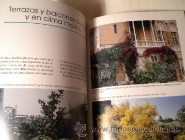 Libros de segunda mano: Flores en sus balcones y terrazas - editorial Vecchi - Foto 3