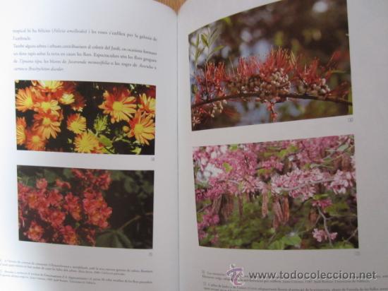 Libros de segunda mano: El Jard&iacute; bot&agrave;nic de la Universitat de Val&egrave;ncia - Foto 7