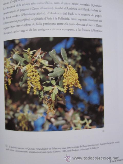 Libros de segunda mano: El Jard&iacute; bot&agrave;nic de la Universitat de Val&egrave;ncia - Foto 8