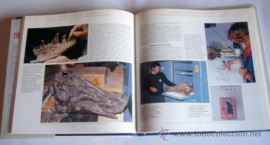 Libros de segunda mano: TRAS LAS HUELLAS DE LOS DINOSAURIOS - Dr. MICHAEL J. BENTON - Foto 5
