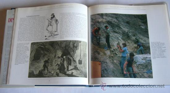 Libros de segunda mano: TRAS LAS HUELLAS DE LOS DINOSAURIOS - Dr. MICHAEL J. BENTON - Foto 6