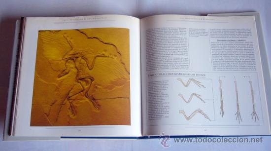 Libros de segunda mano: TRAS LAS HUELLAS DE LOS DINOSAURIOS - Dr. MICHAEL J. BENTON - Foto 7