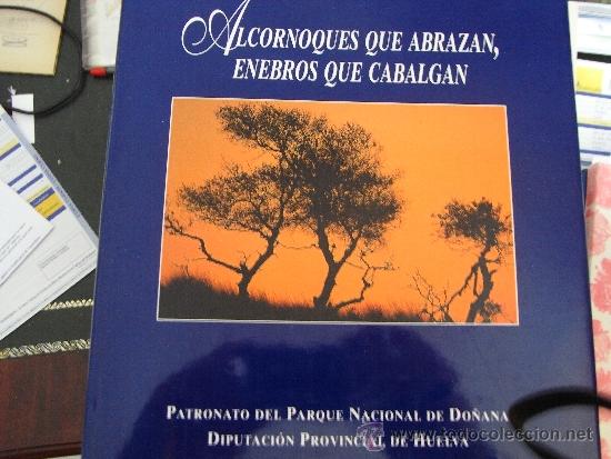 Libros de segunda mano: Alcornoques que abrazan, enebros que cabalgan.(Huelva) - Foto 1