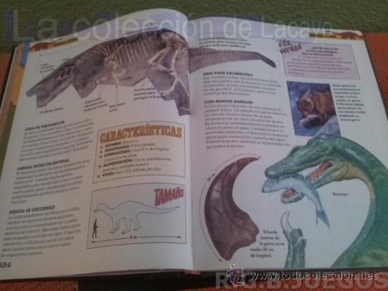 Libros de segunda mano: DINOSAURIOS TOMOS 1-2 Y 3 CON LAMINAS 3D - Foto 4