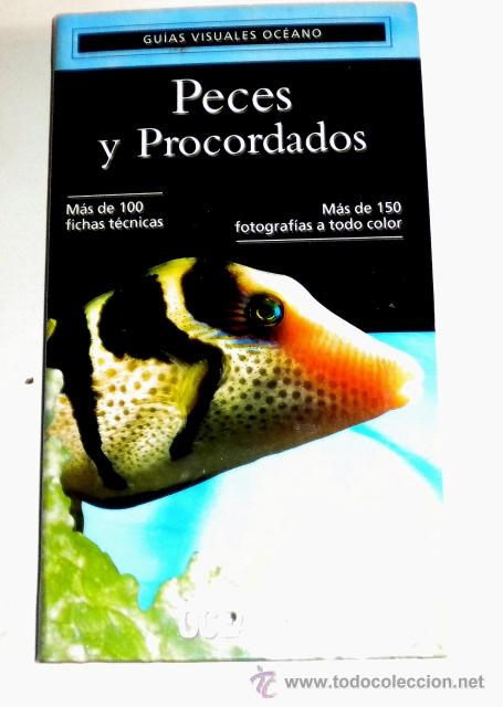Libros de segunda mano: Peces y procordados - Oceano 1.999 - Foto 1