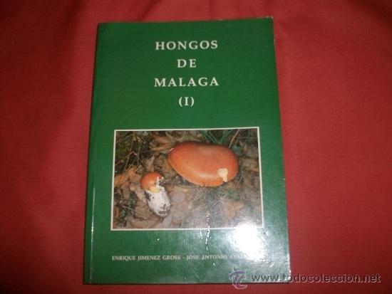 Libri di seconda mano: HONGOS DE M&Aacute;LAGA I (SETAS - MICOLOG&Iacute;A) - ENRIQUE JIM&Eacute;NEZ GROSS Y JOS&Eacute; ANTONIO AYALA RUIZ