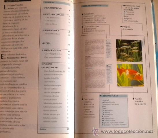 Libros de segunda mano: Peces y procordados - Oceano 1.999 - Foto 3