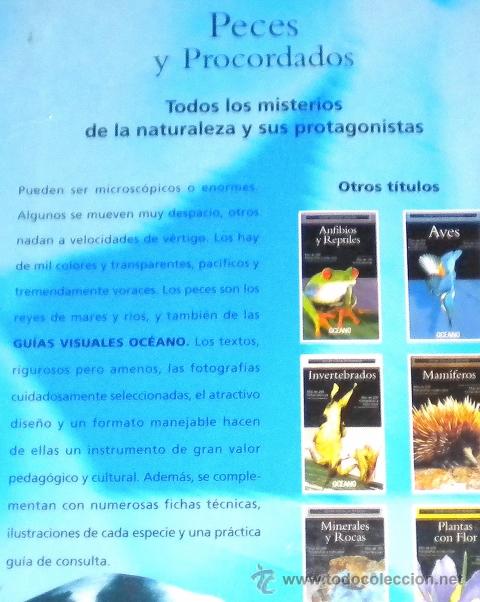 Libros de segunda mano: Peces y procordados - Oceano 1.999 - Foto 2
