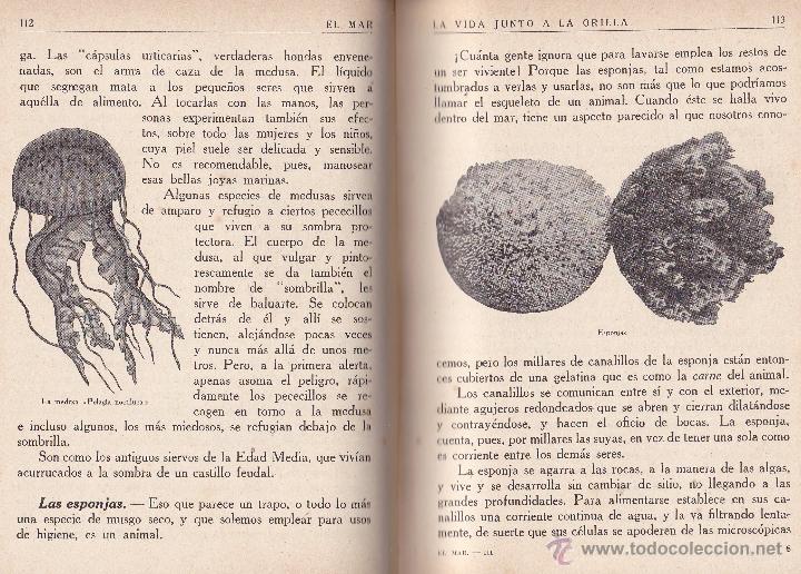 Libros de segunda mano: 1942 * EI MAR * III La vida submarina * CAPIT&Aacute;N ARG&Uuml;ELLO - Foto 4