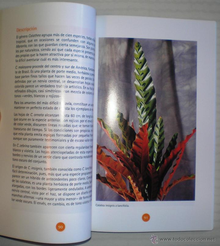Libros de segunda mano: VARIOS AUTORES: PLANTAS DE INTERIOR. - Foto 2
